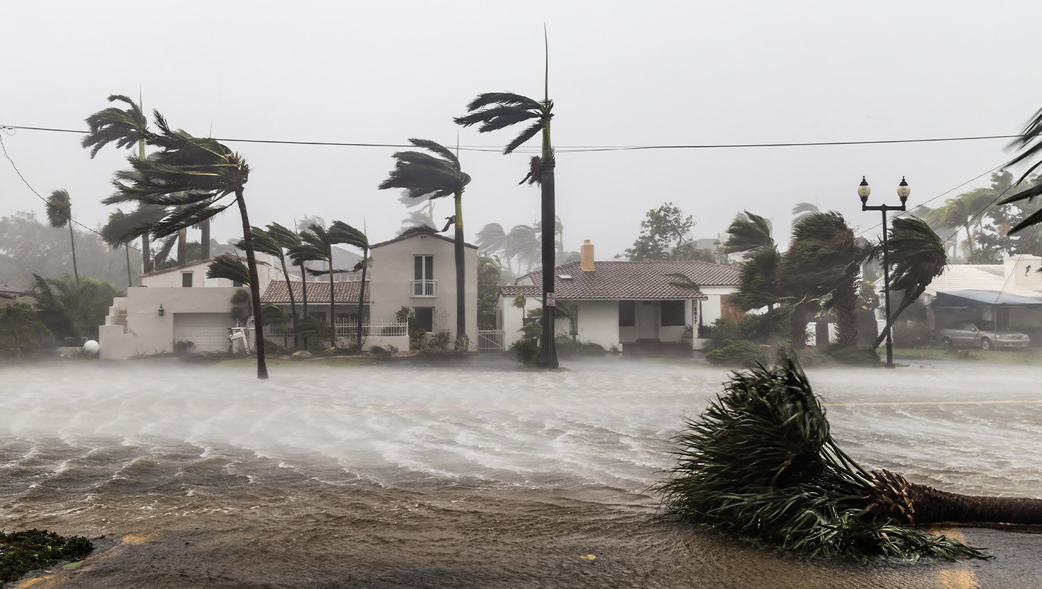 Hurricane+Lawyer+in+Florida