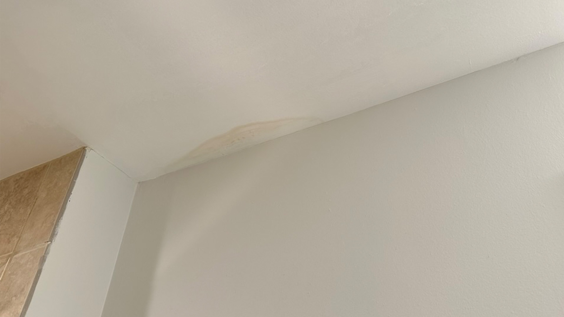 Ceiling water spot from roof damage