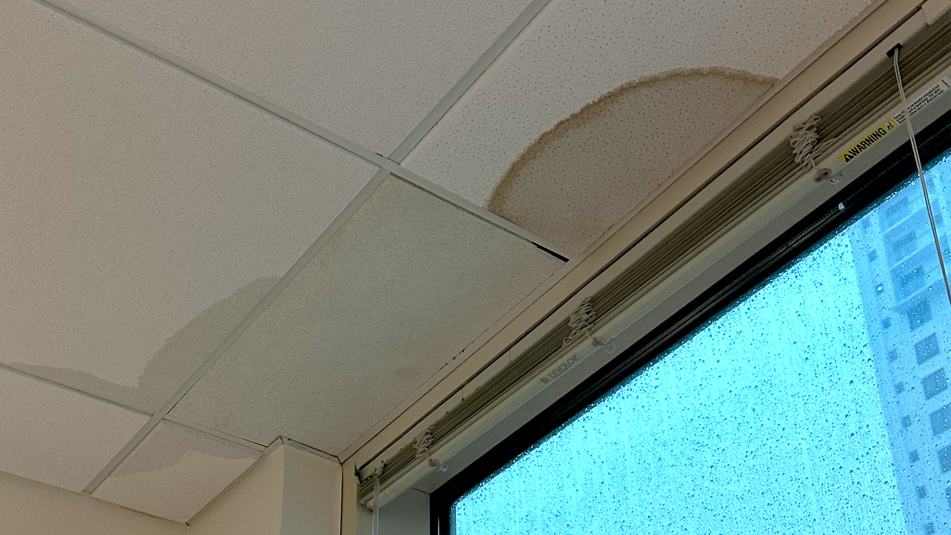 Commercial Office Ceiling Leak and Water Stain After Hurricane